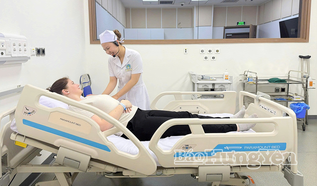 Sinh viên Nguyễn Thị Như Ý là đại diện duy nhất của Việt Nam tham dự Kỳ thi kỹ năng nghề thế giới lần thứ 48, năm 2026 về chăm sóc sức khỏe và công tác xã hội.