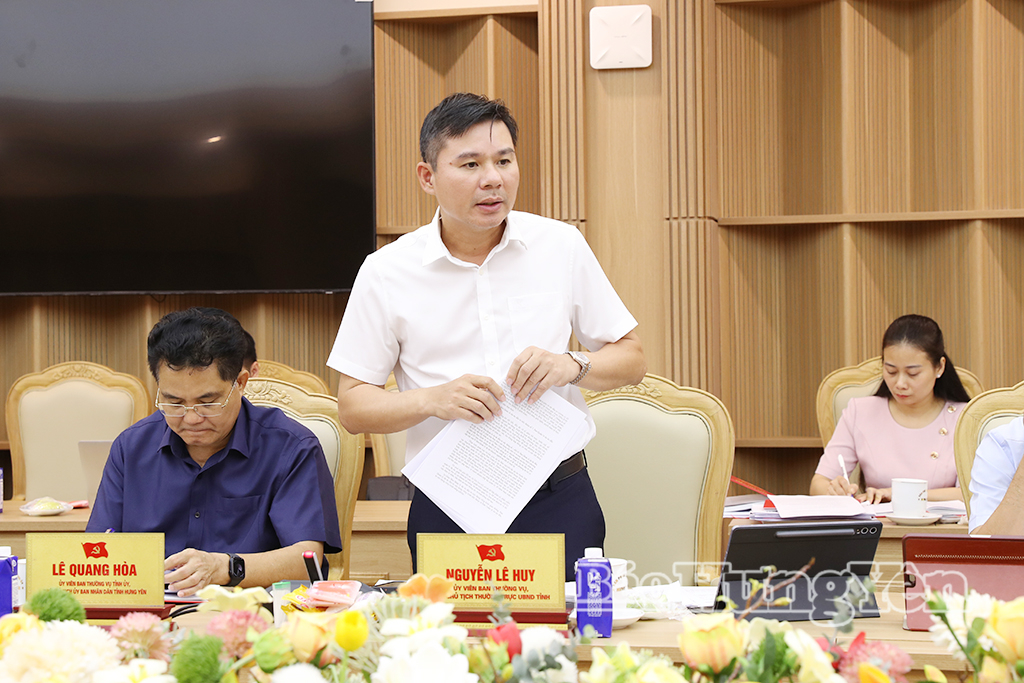 Đồng chí Nguyễn Lê Huy, Ủy viên Ban Thường vụ Tỉnh ủy, Phó Chủ tịch Thường trực UBND tỉnh phát biểu tại cuộc họp.