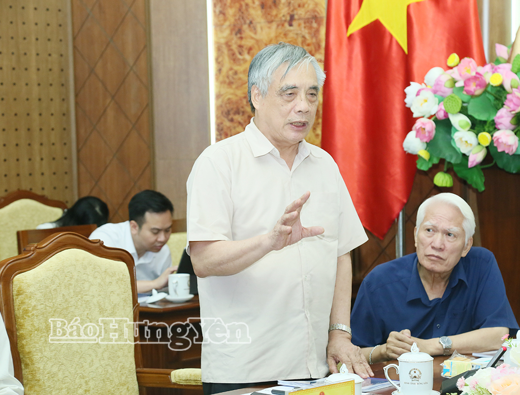 Đại diện chuyên gia tư vấn phát biểu tại cuộc họp.