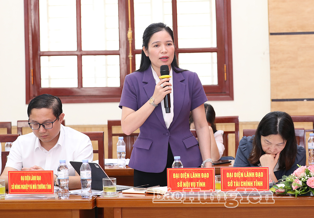 Đại diện lãnh đạo các sở, ngành phát biểu tại buổi làm việc.
