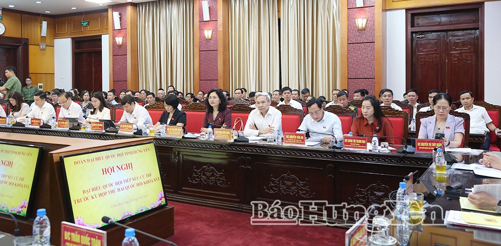 Các đại biểu dự hội nghị.