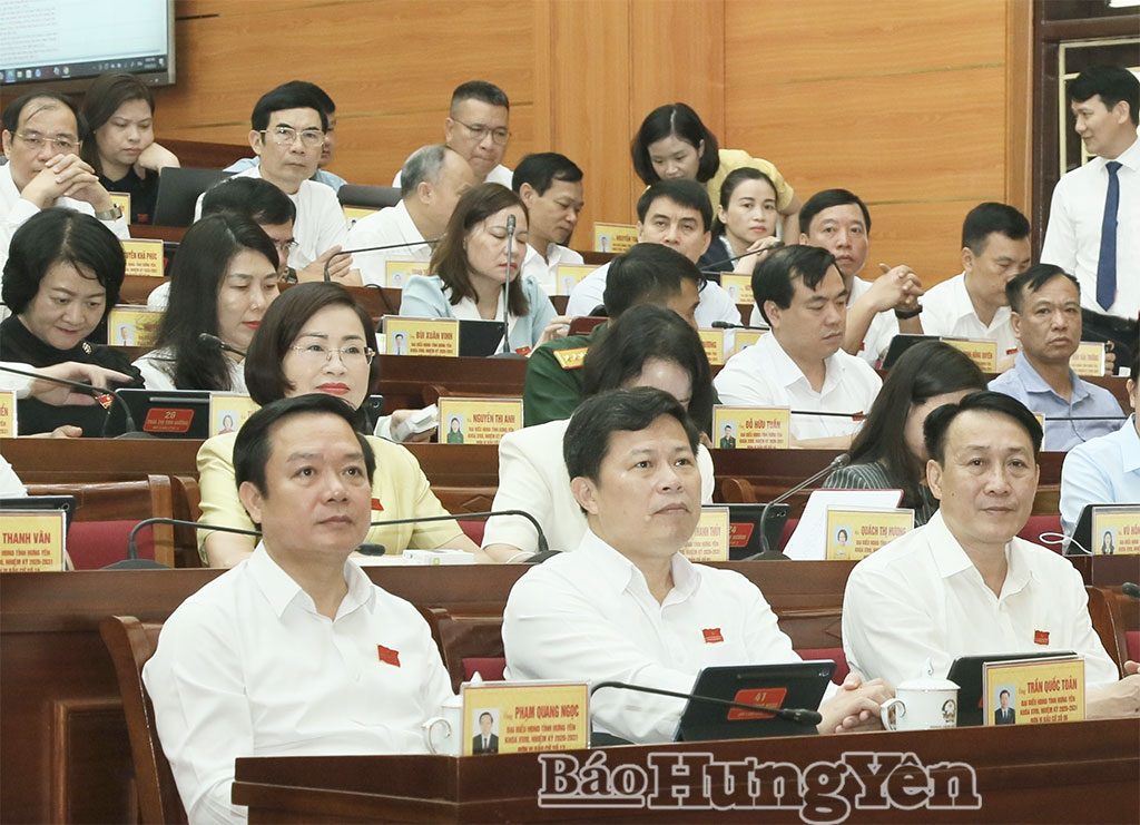 Các đồng chí lãnh đạo tỉnh và đại biểu dự kỳ họp.