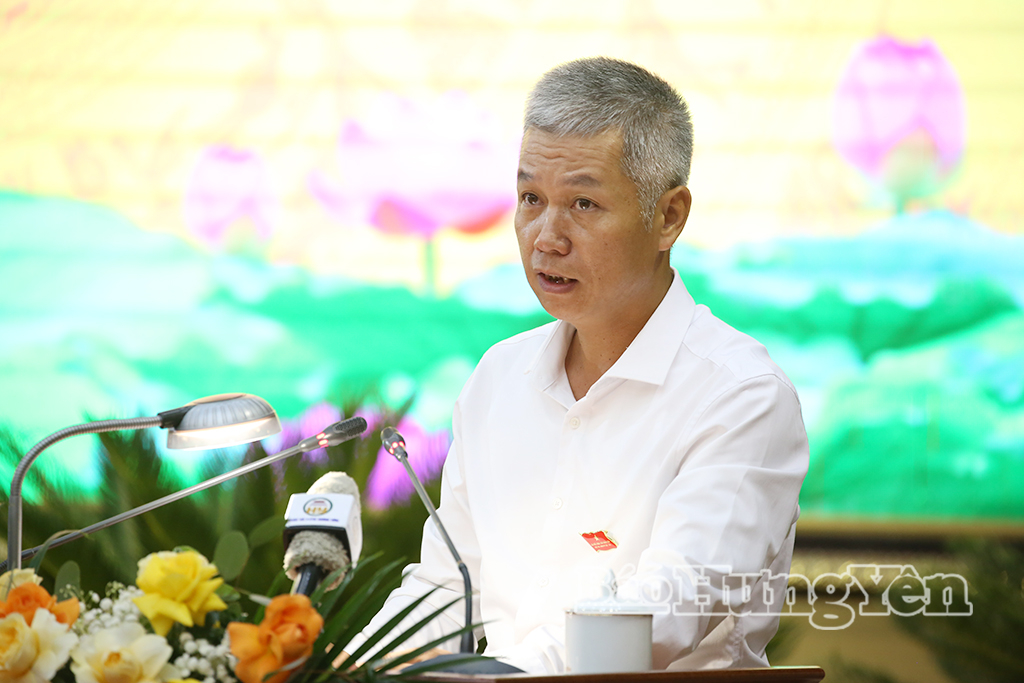 Ban Pháp chế HĐND tỉnh trình bày báo cáo thẩm tra các nội dung thuộc lĩnh vực pháp chế.