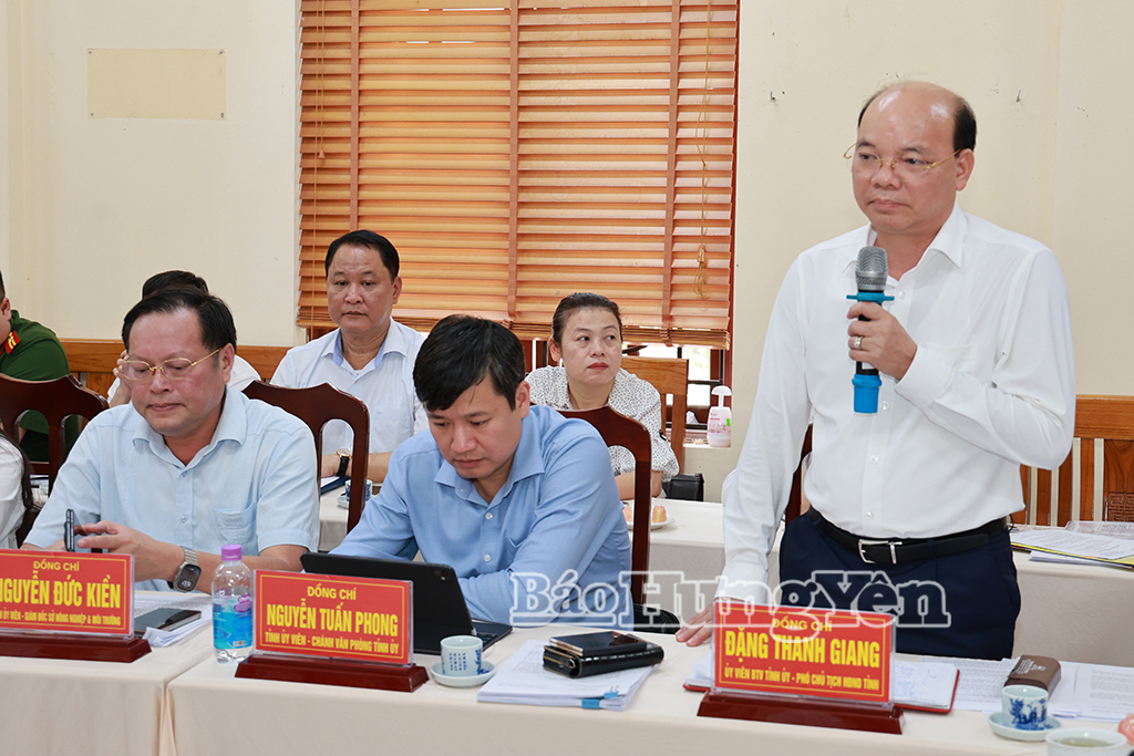 Đồng chí Đặng Thanh Giang, Ủy viên Ban Thường vụ Tỉnh ủy, Phó Chủ tịch HĐND tỉnh phát biểu tại buổi làm việc.