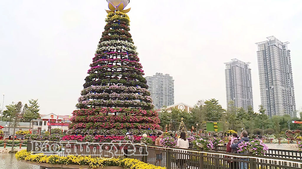 Festival hoa tỉnh Hưng Yên năm 2026 dự kiến diễn ra từ ngày 25 - 31/12 tại xã Phụng Công.