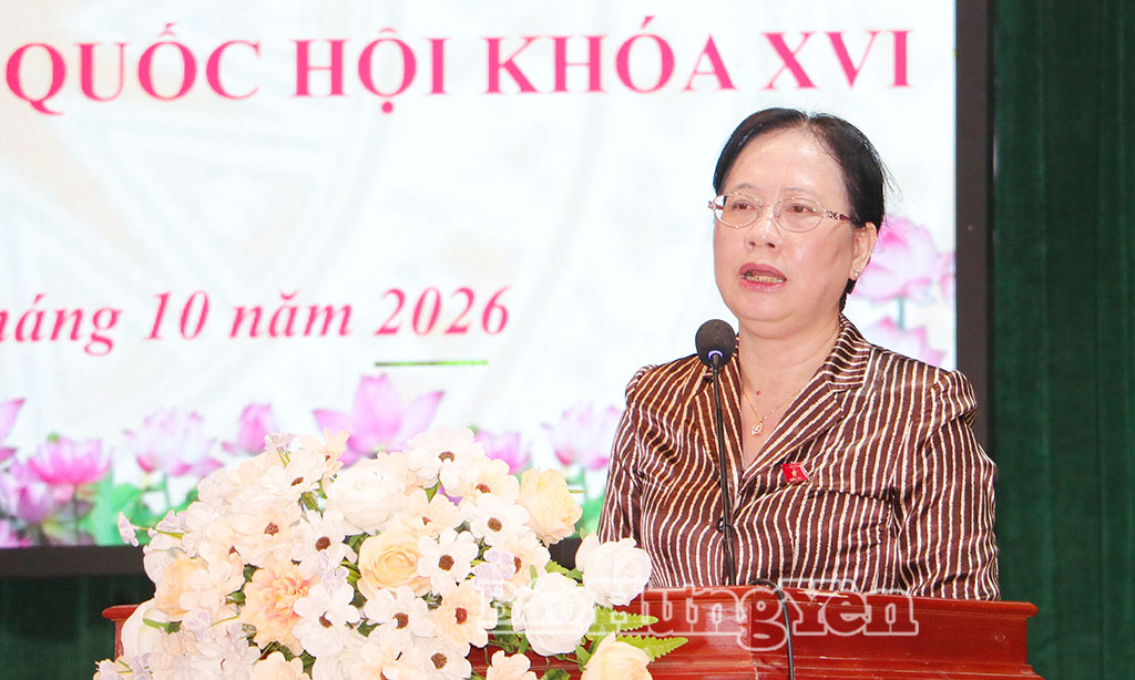 Đồng chí Nguyễn Thị Thúy Ngần, Phó Chủ nhiệm Văn phòng Quốc hội phát biểu giải đáp một số ý kiến, kiến nghị tại hội nghị.