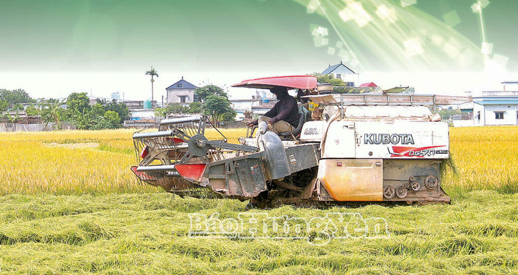 Nông dân xã Ái Quốc thu hoạch lúa trong mô hình liên kết sản xuất lúa hàng hóa với Công ty TNHH Đầu tư và Phát triển công nghệ An Đình, phường Đường Hào.