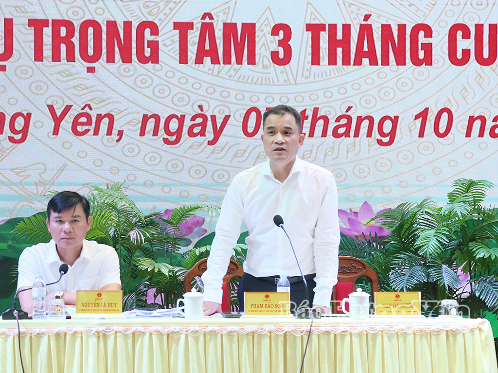 Đồng chí Phạm Bảo Sơn, Ủy viên Ban Thường vụ Tỉnh ủy, Phó Chủ tịch UBND tỉnh phát biểu tại phiên họp.