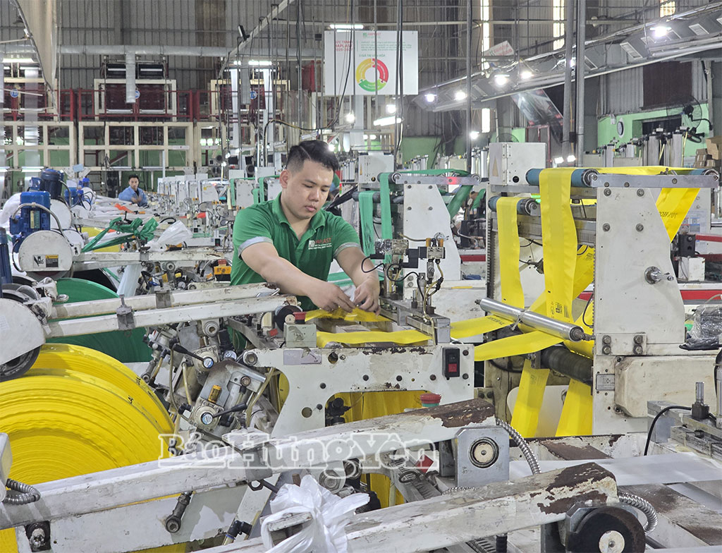 Công ty Cổ phần Haplast (xã Ân Thi) đầu tư hệ thống máy tự động cắt, đột, dập tạo sản phẩm bao bì nhựa thân thiện với môi trường.