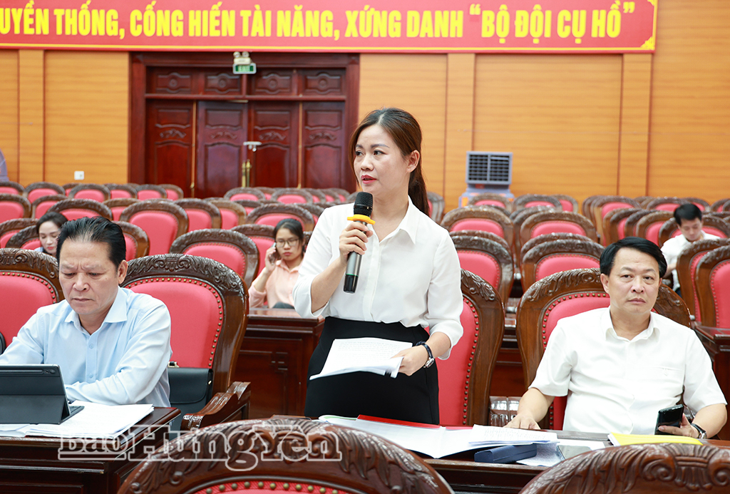 Các đại biểu thảo luận tại hội nghị.