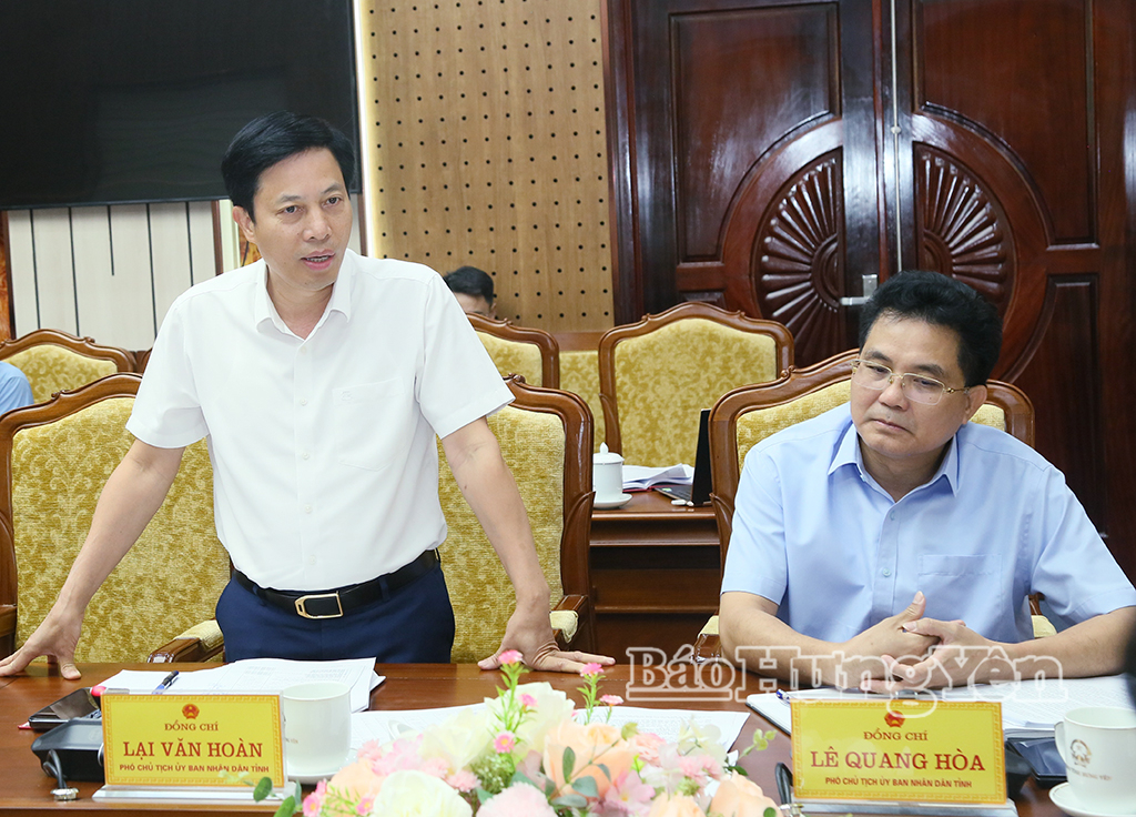 Đồng chí Lại Văn Hoàn, Phó Chủ tịch UBND tỉnh phát biểu tại cuộc họp.