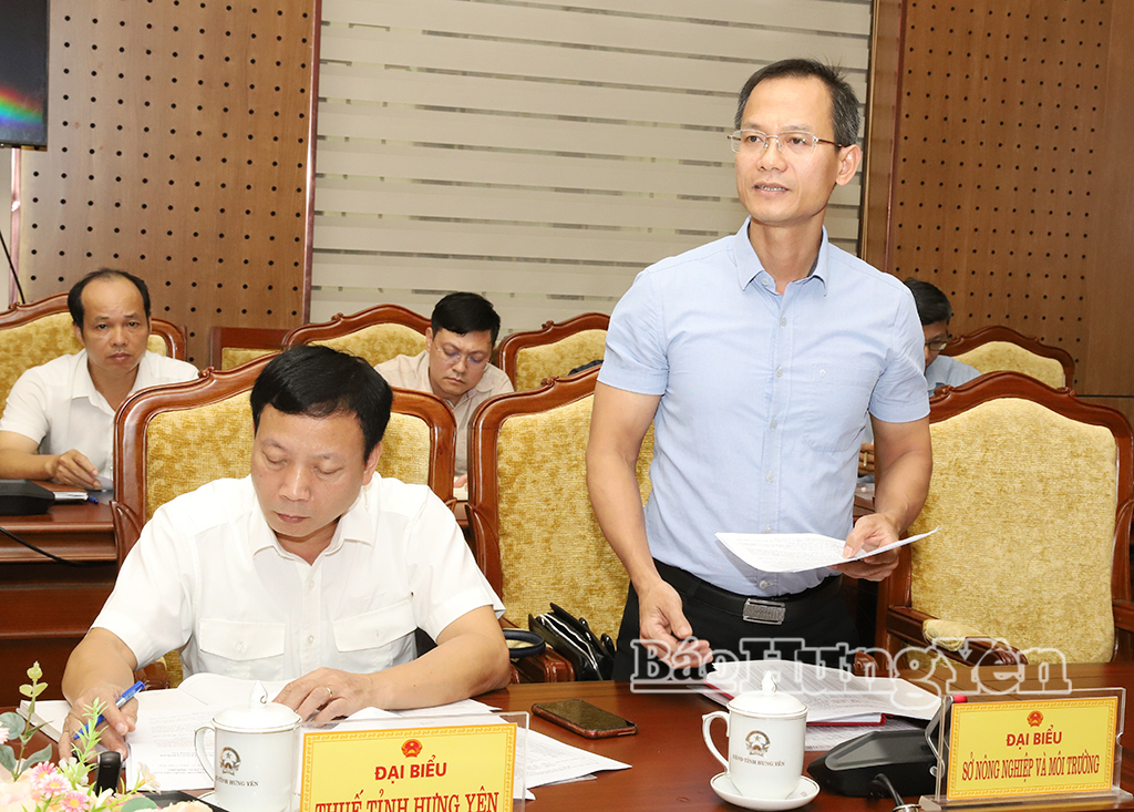Đại diện lãnh đạo Sở Nông nghiệp và Môi trường báo cáo tại cuộc họp.
