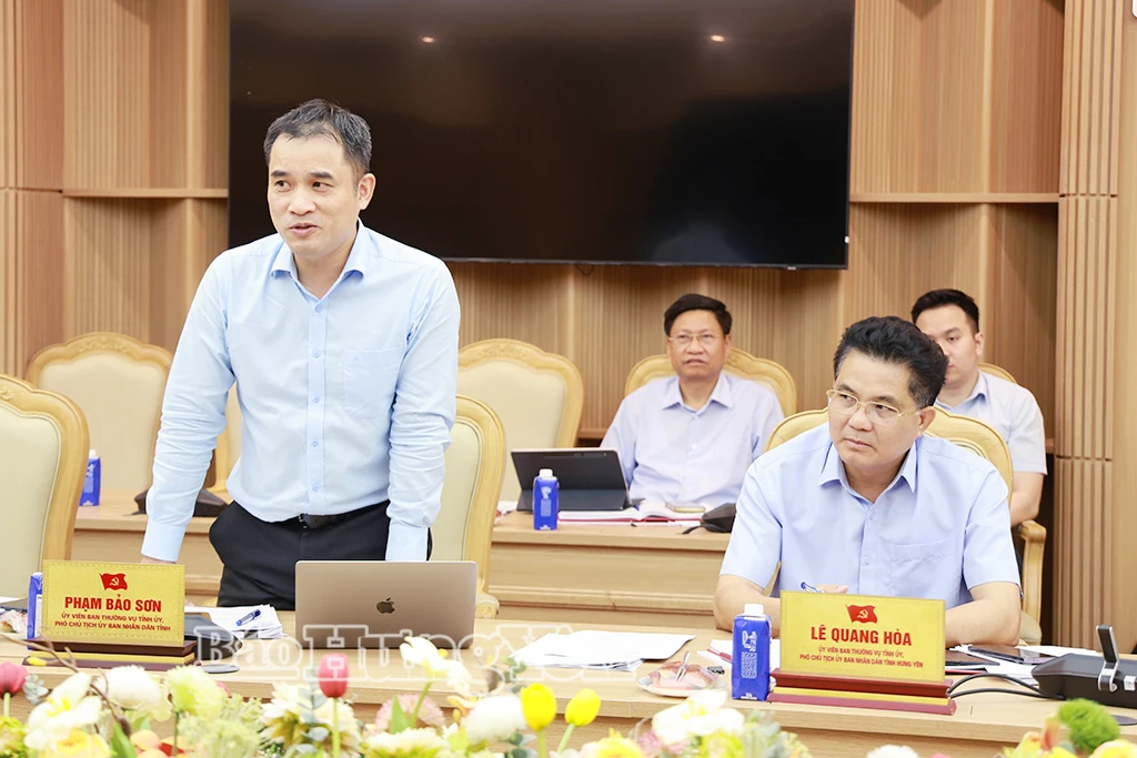 Đồng chí Phạm Bảo Sơn, Ủy viên Ban Thường vụ Tỉnh ủy, Phó Chủ tịch UBND tỉnh phát biểu tại cuộc họp.