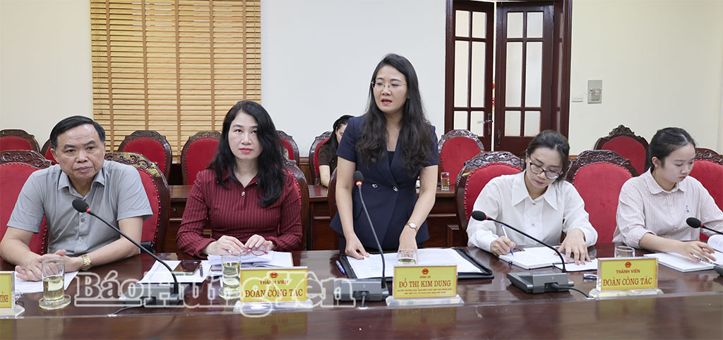UBND tỉnh làm việc với Đoàn công tác của Ủy ban Công tác về tổ chức phi chính phủ nước ngoài