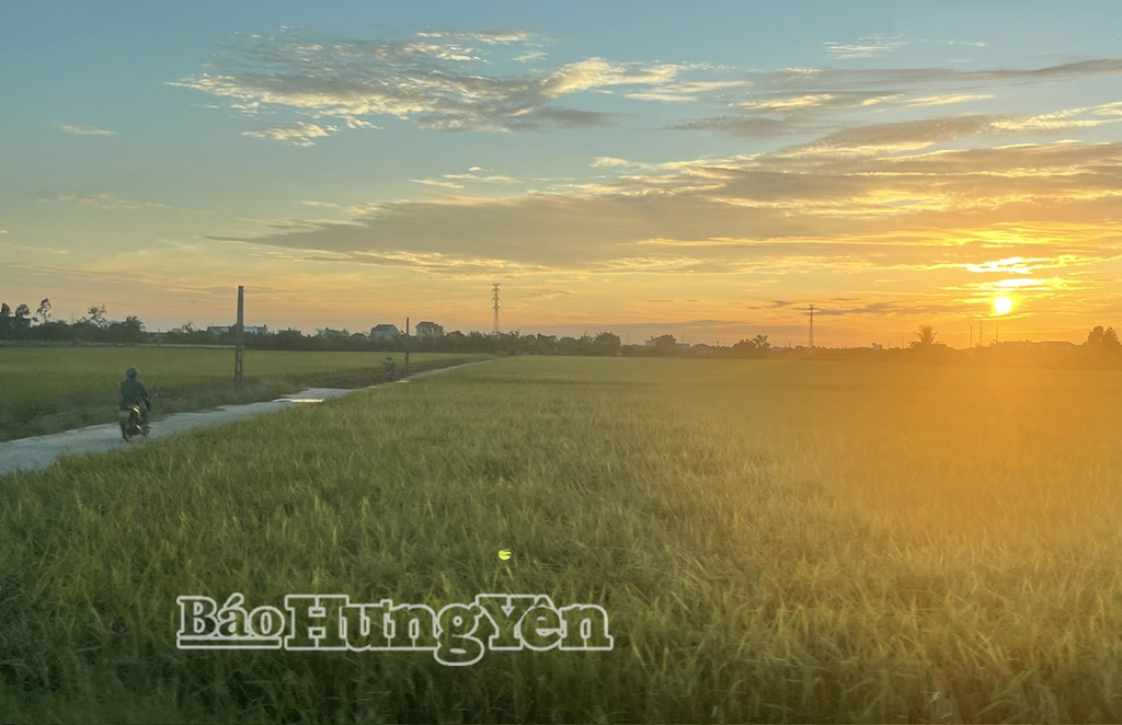 Đường làng tôi
